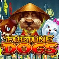 FortuneDogs